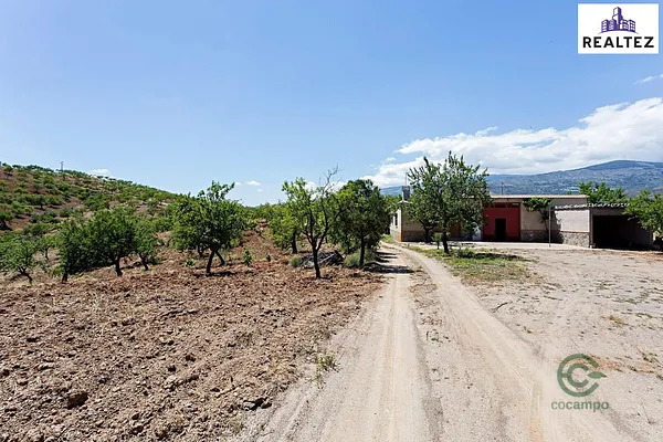 Spot image