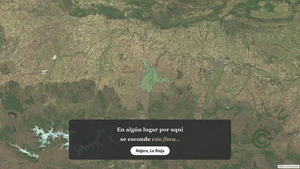 Spot image