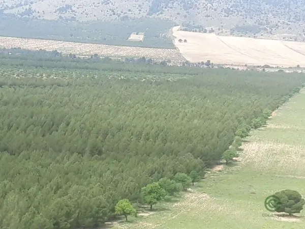 Finca rústica de 6 ha en venta en Granada