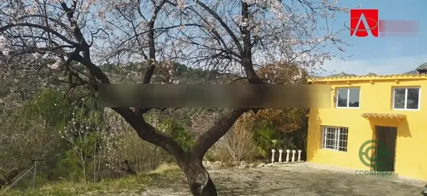 Spot image
