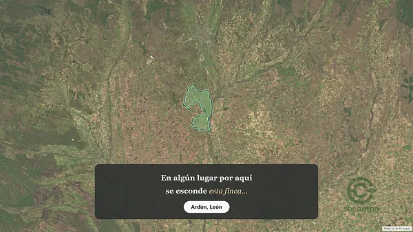 Spot image