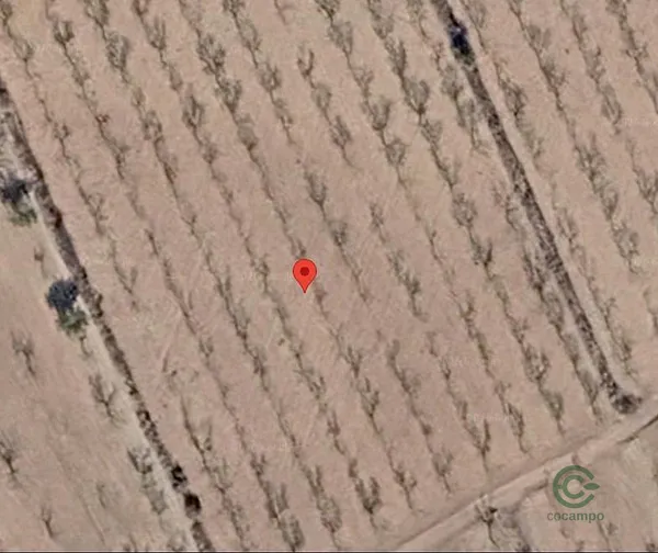 Spot image