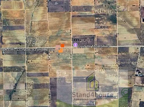 Spot image