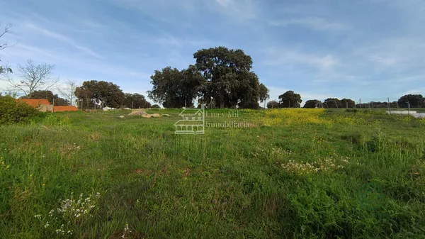 Finca rústica de 0,1 ha en venta en Calvarrasa de arriba, Salamanca