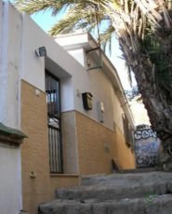 Spot image