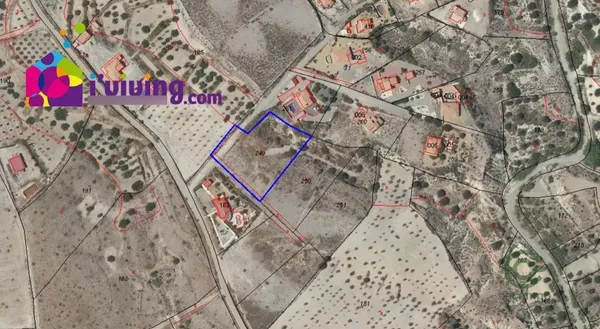 Spot image