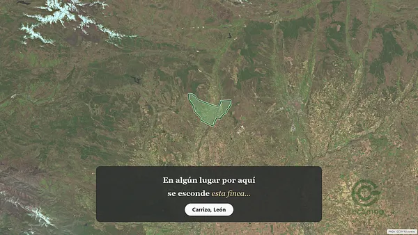 Spot image