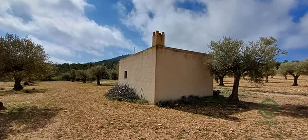 Spot image
