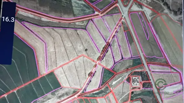 Spot image