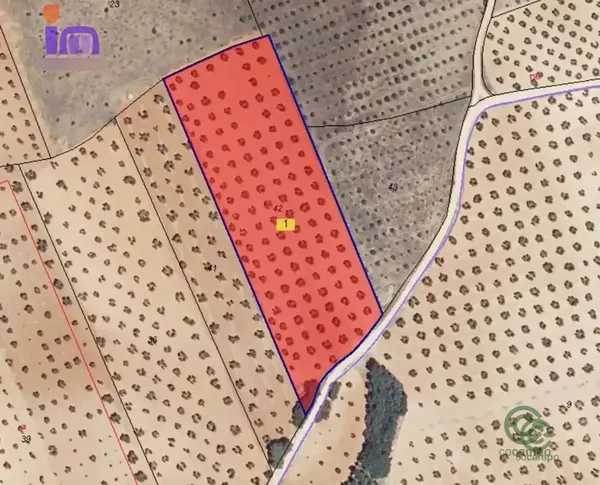Spot image
