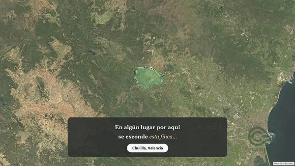 Spot image