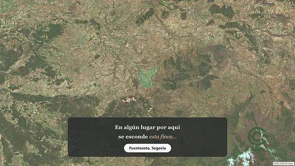Spot image