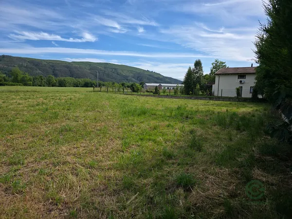 Spot image