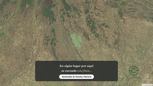 Spot image