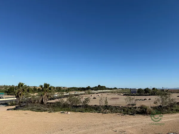 Spot image