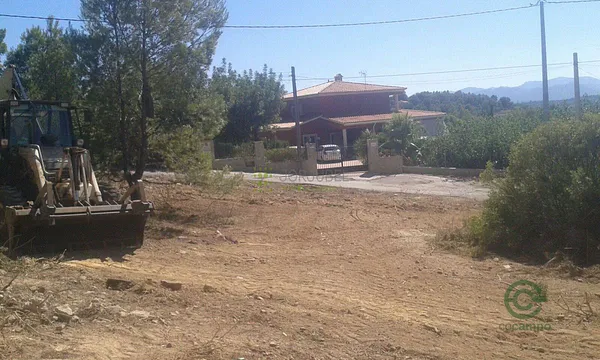 Spot image