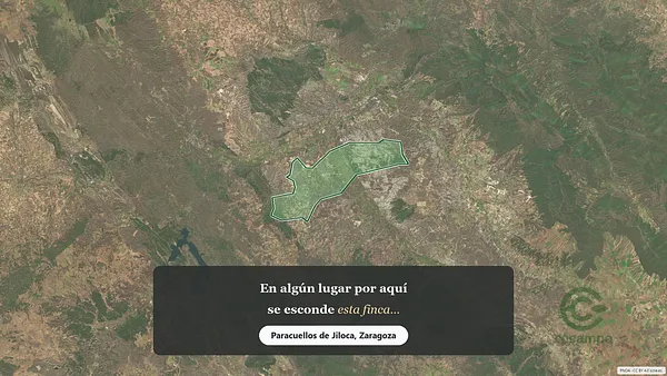 Spot image