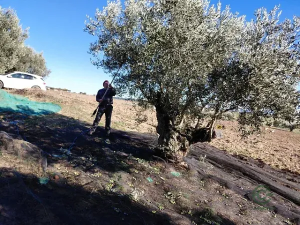 Finca agrícola de 2 ha en venta en Barcelona