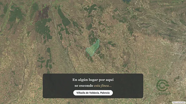 Spot image