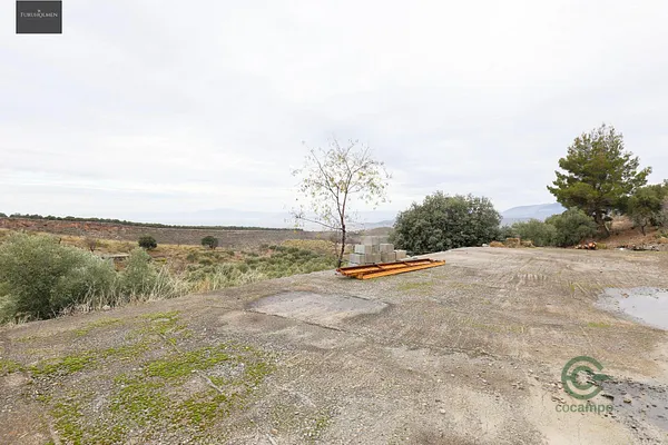 Spot image