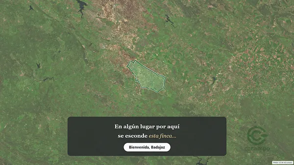 Spot image