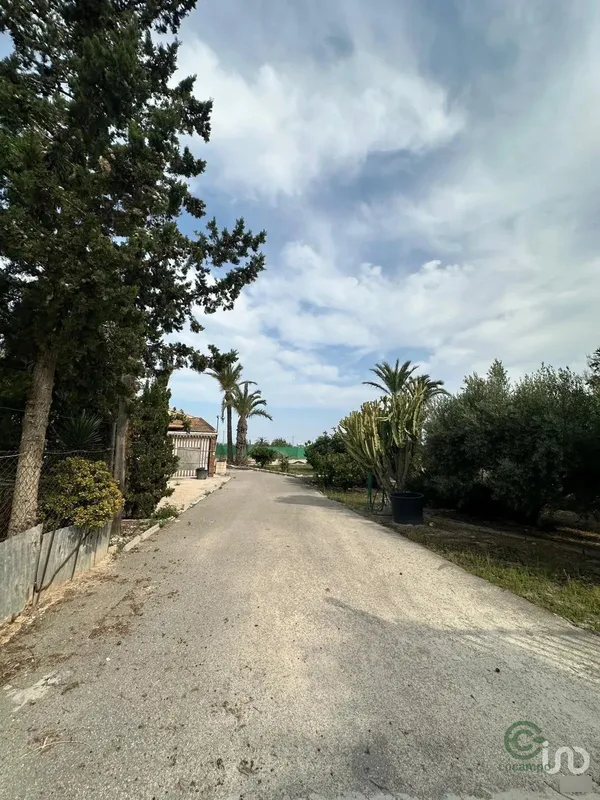 Spot image