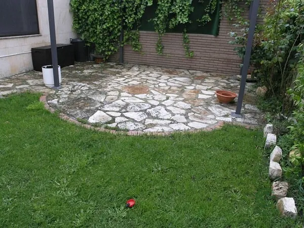 Spot image