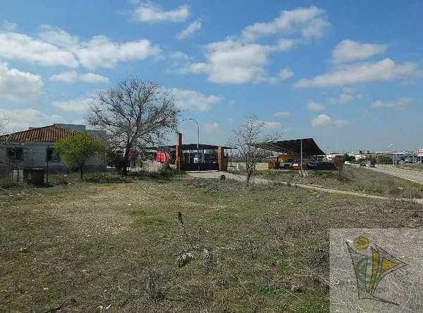 Spot image