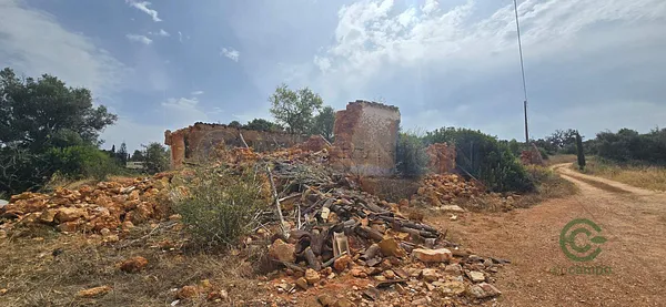 Spot image