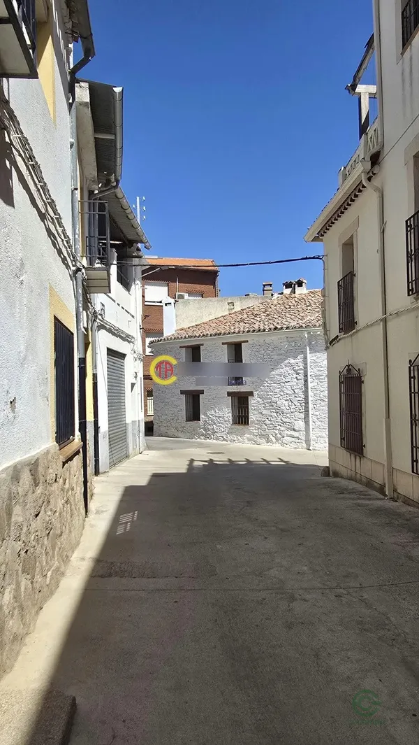 Spot image