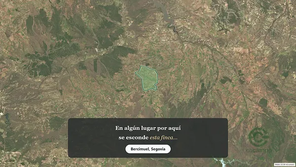 Spot image