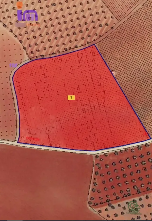 Spot image