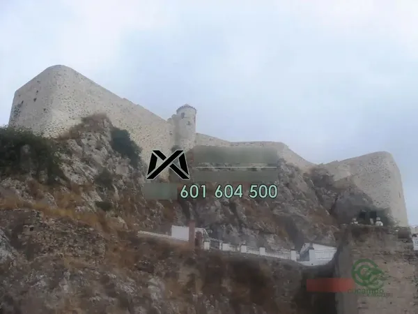 Spot image