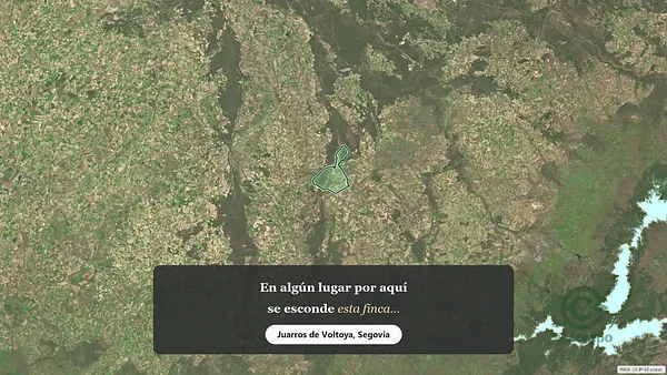 Spot image