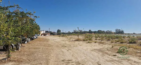 Finca rústica de 0,8083 ha en venta en Burguillos, Sevilla