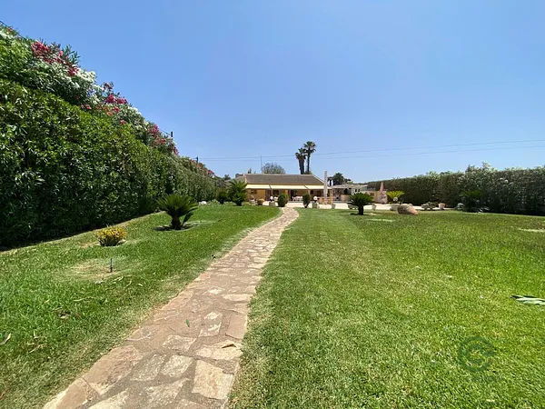 Spot image