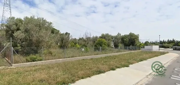 Spot image
