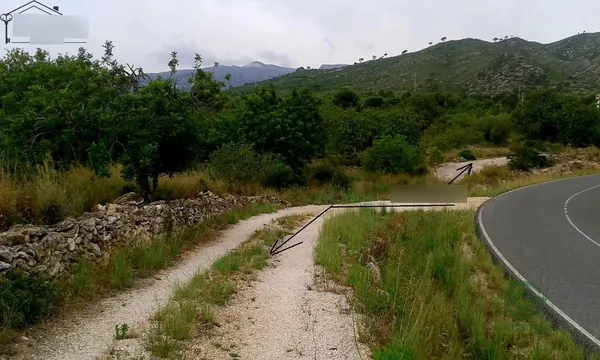Spot image