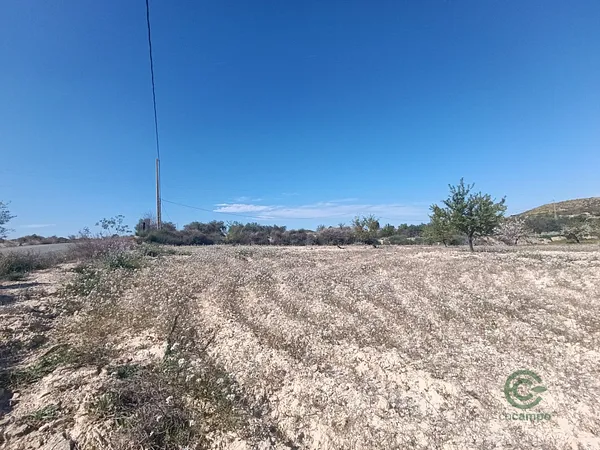 Spot image
