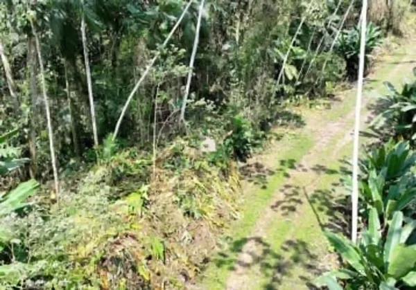 Fazenda rustica de 2,1 ha para venda em Santa catarina