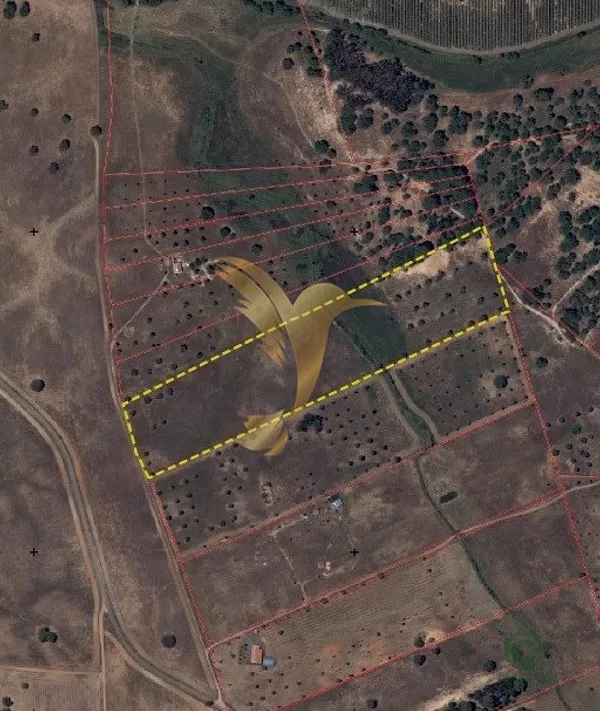 Spot image
