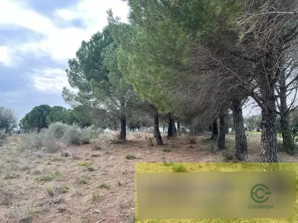Spot image