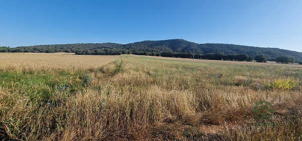 Finca rústica de 0,61 ha en venta en Huérmeces del cerro, Guadalajara
