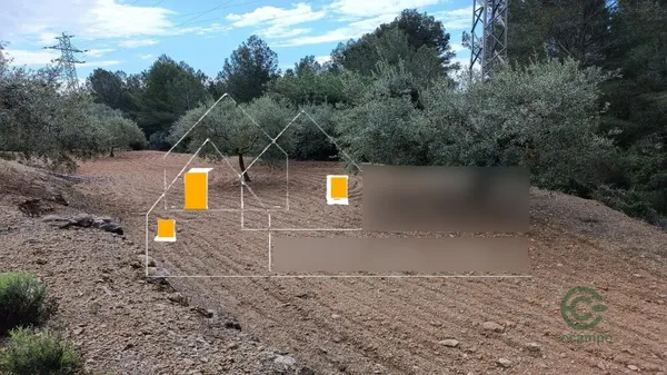 Spot image