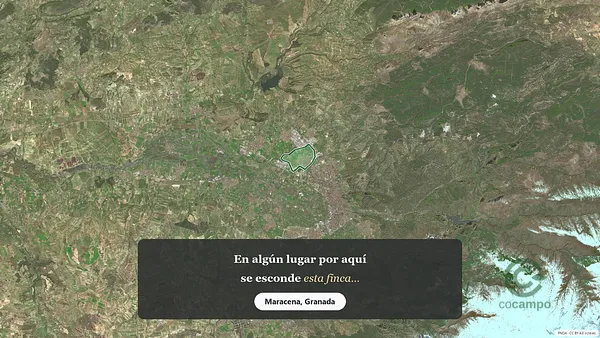Spot image