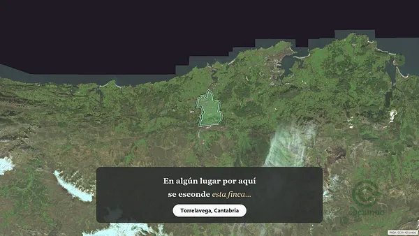 Spot image
