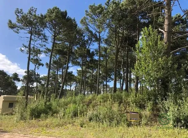 Terreno urbano de 0,1 ha en venta en Buenos aires