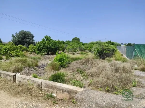 Spot image