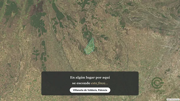 Spot image