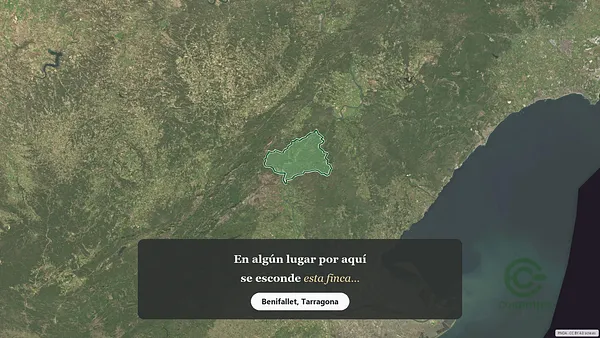 Spot image